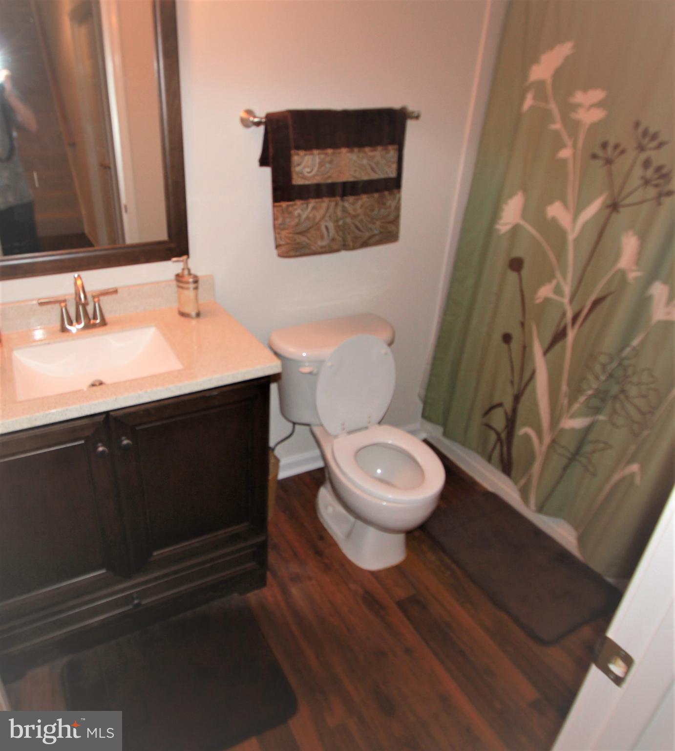 10920 Park Ridge Road Fredericksburg, VA 22408 - Photo 14 of 14 Full Bath in Basement