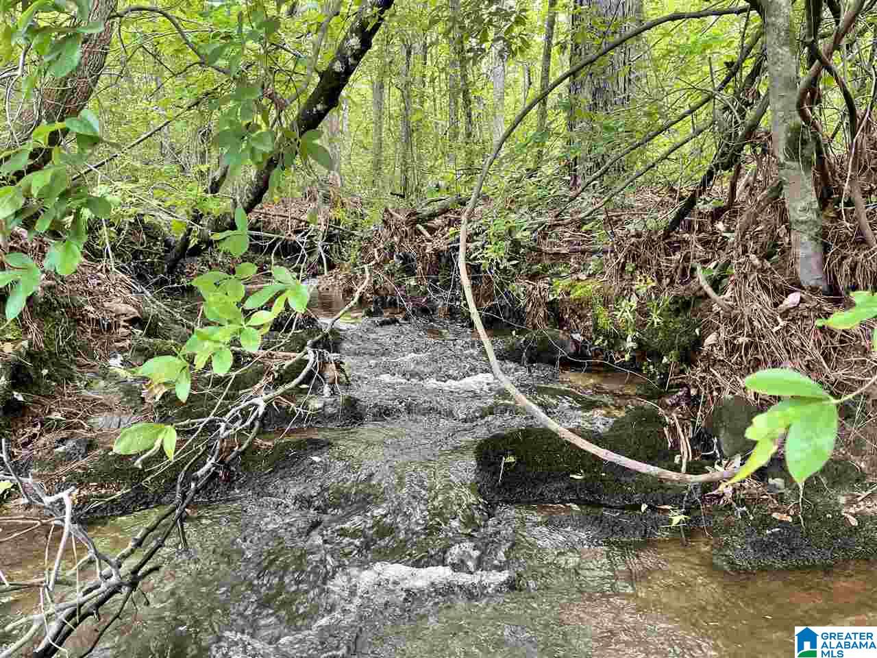 Mountain Road, Unit 16 Daviston, AL 36256 - Photo 1 of 7