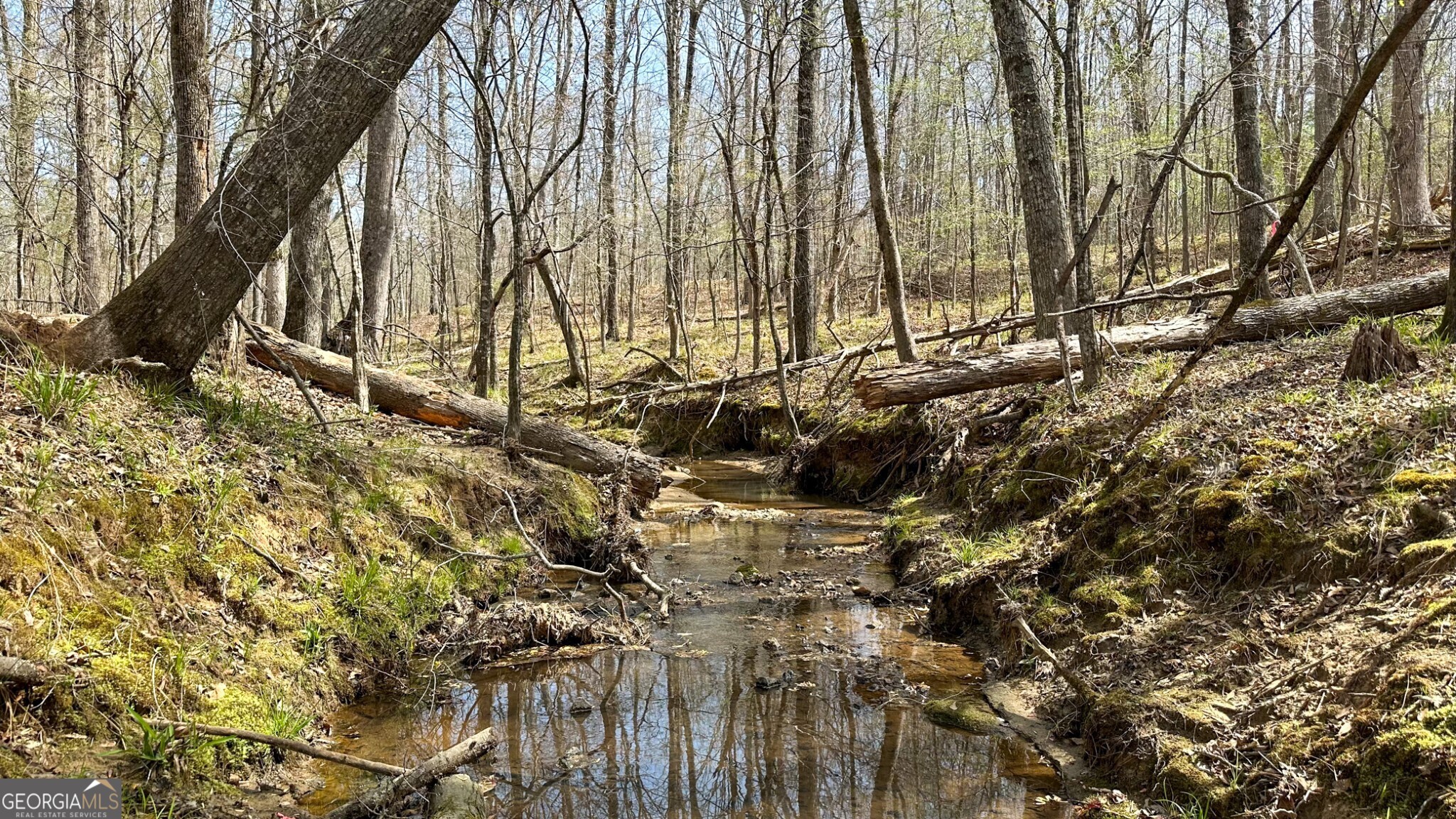 a view of a backyard of the house