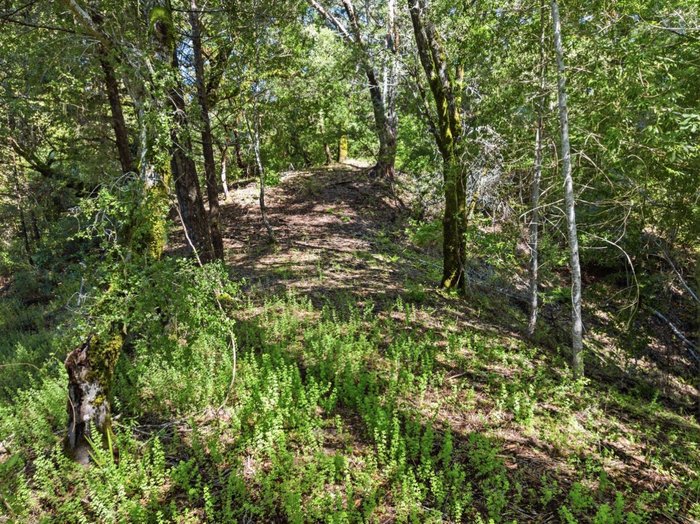 360 Rincon Way Boulder Creek, CA 95006 - Photo 3 of 46