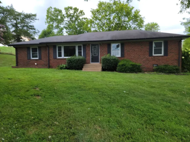a front view of a house with yard and green space