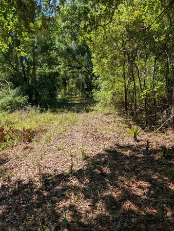 $259,000 | 0 Northwest 202nd Place, Citra, FL 32113