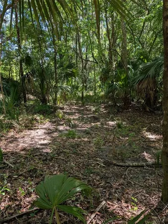 $259,000 | 0 Northwest 202nd Place, Citra, FL 32113
