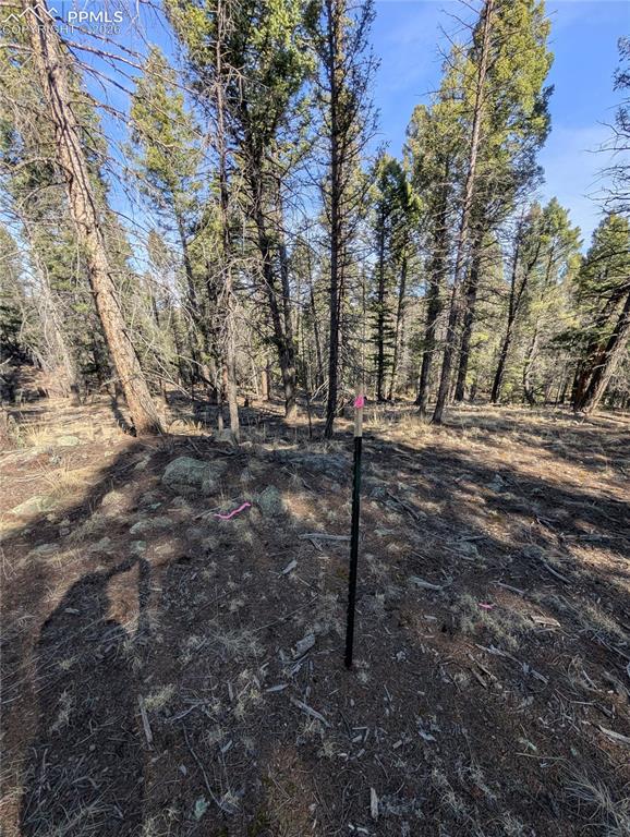 1176 Trail Creek Road Lake George, CO 80827 - Photo 29 of 34
