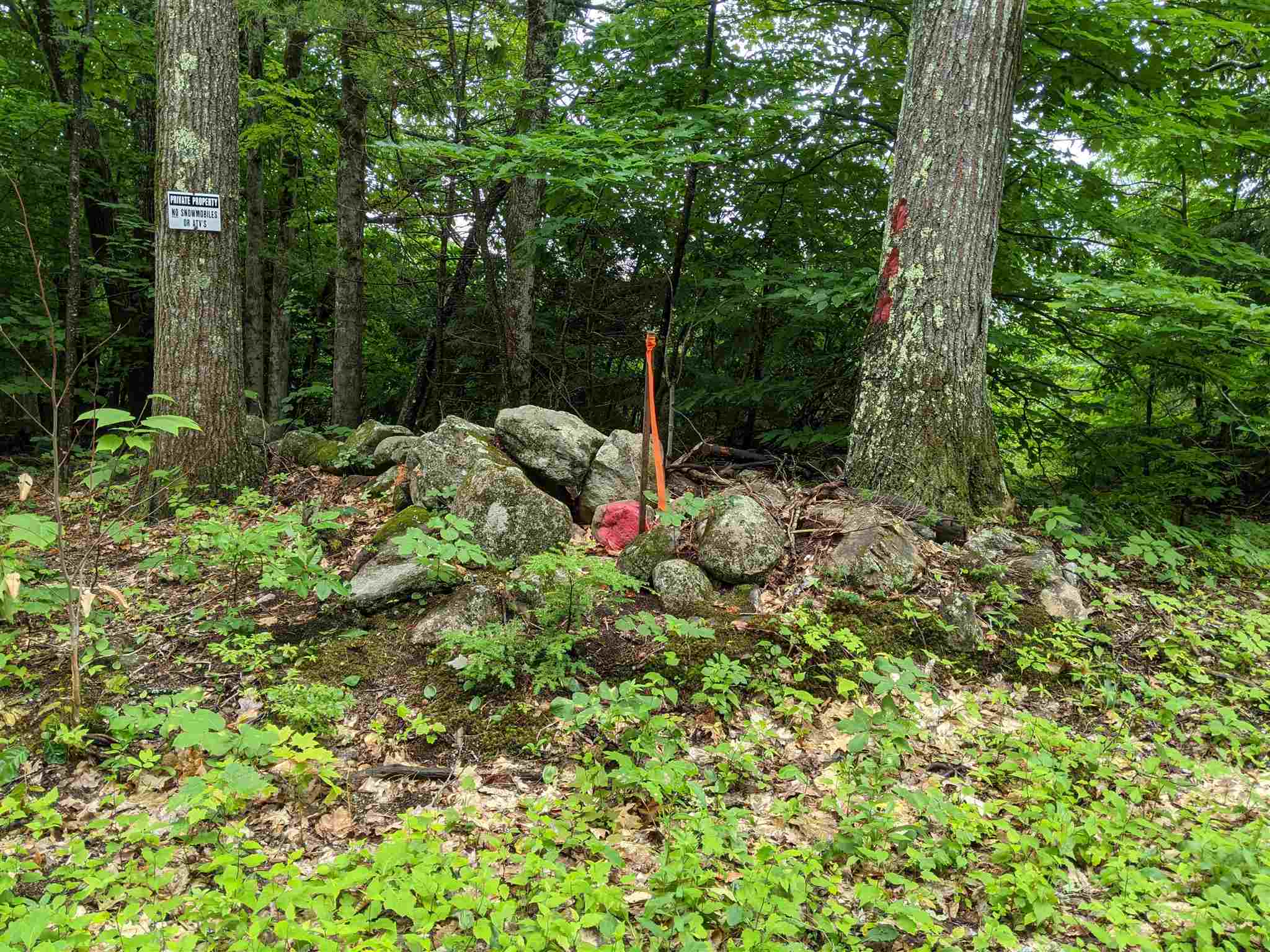 29- Meaderboro Road Alton, NH 03809 - Photo 11 of 21