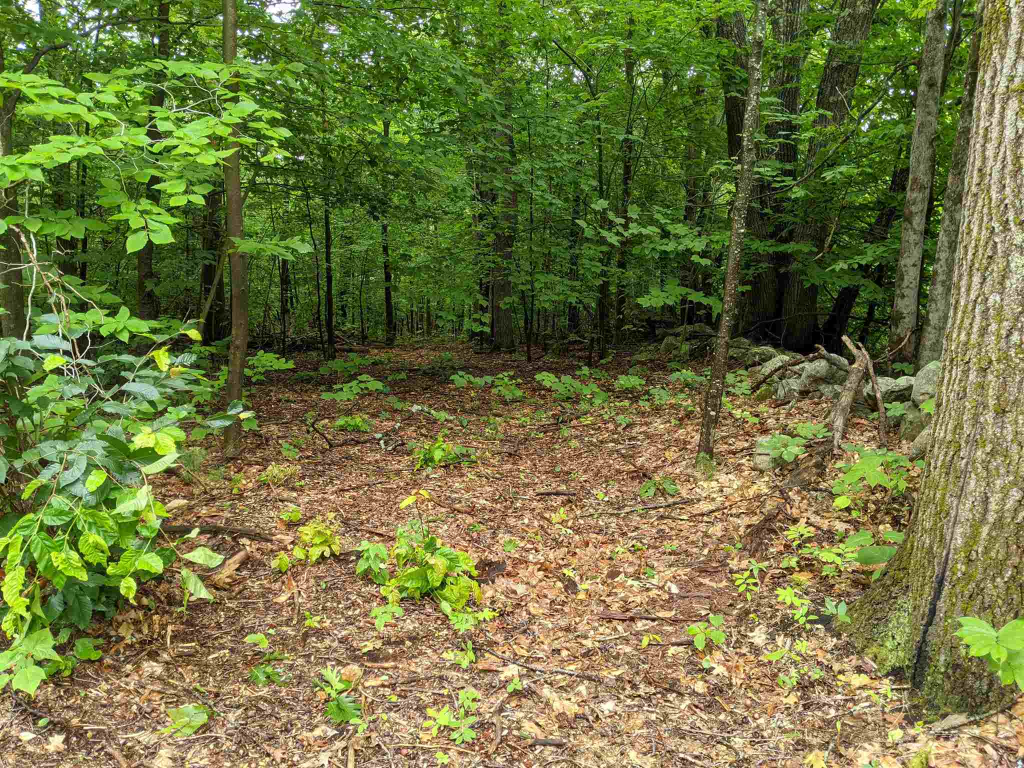 29- Meaderboro Road Alton, NH 03809 - Photo 12 of 21
