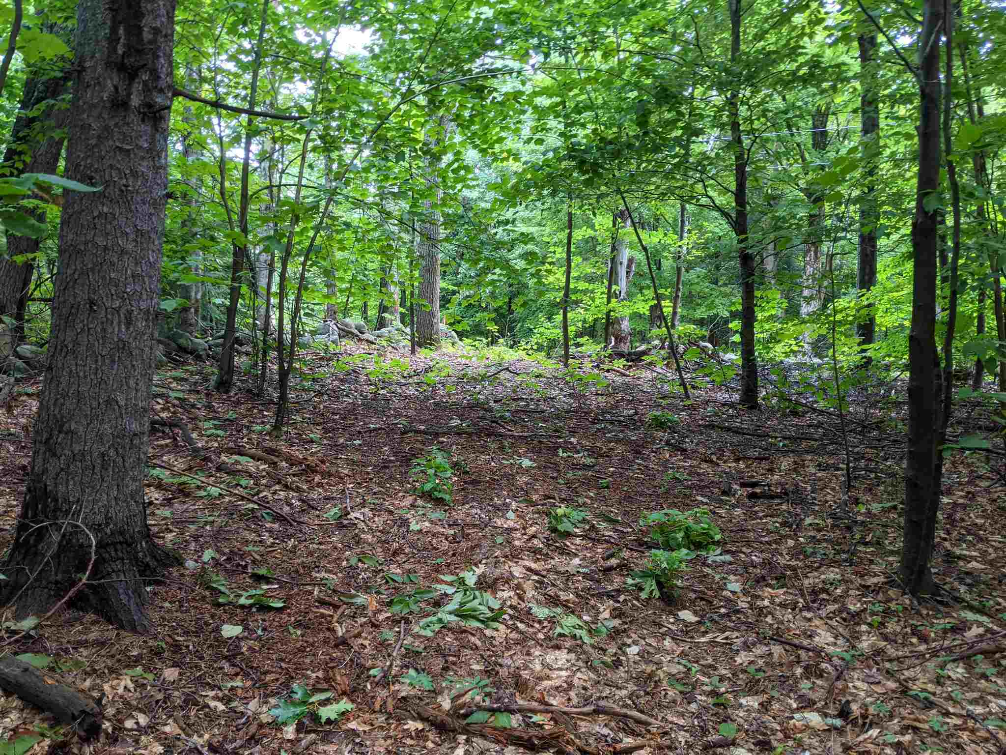 29- Meaderboro Road Alton, NH 03809 - Photo 14 of 21