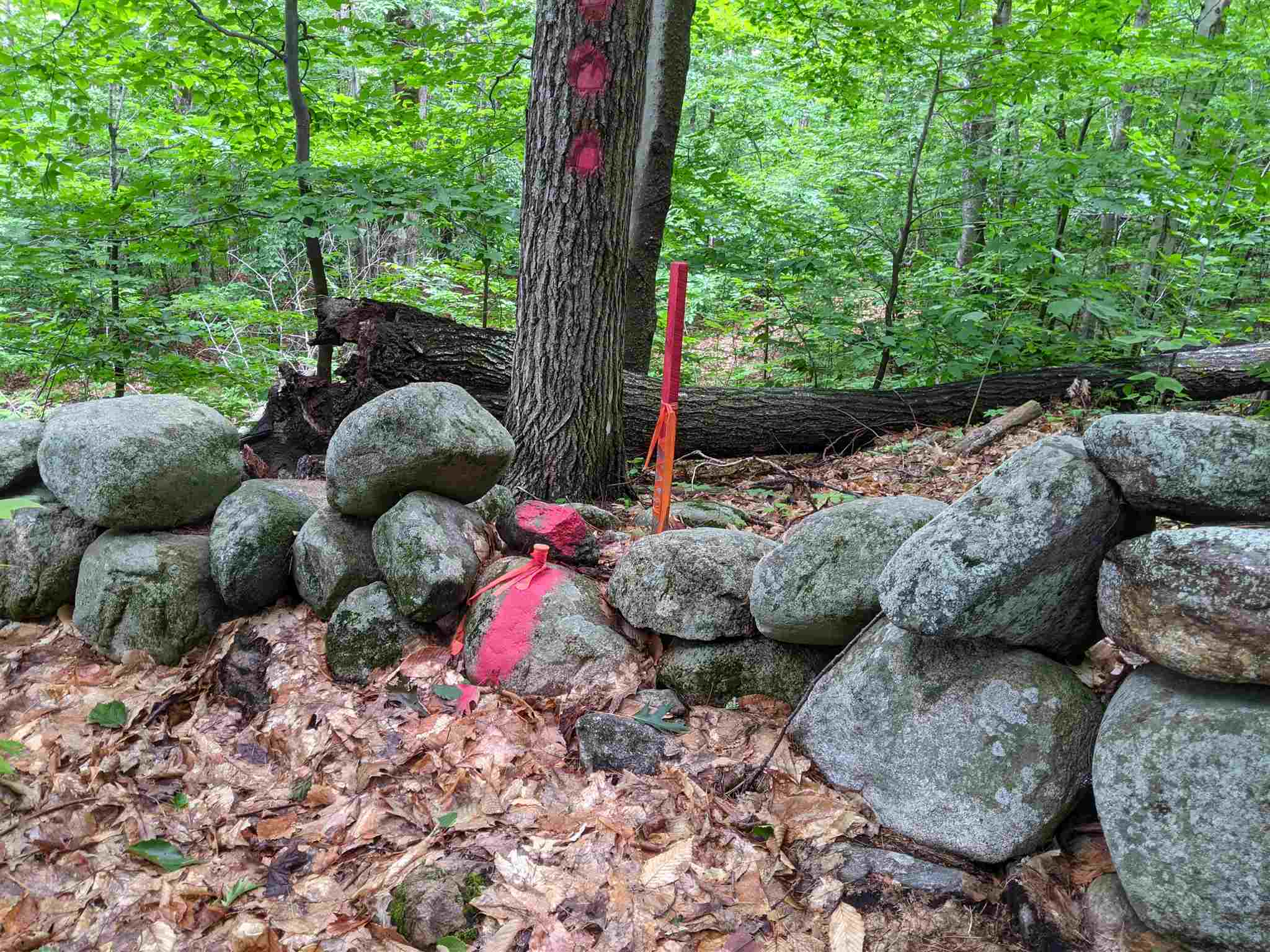 29- Meaderboro Road Alton, NH 03809 - Photo 16 of 21