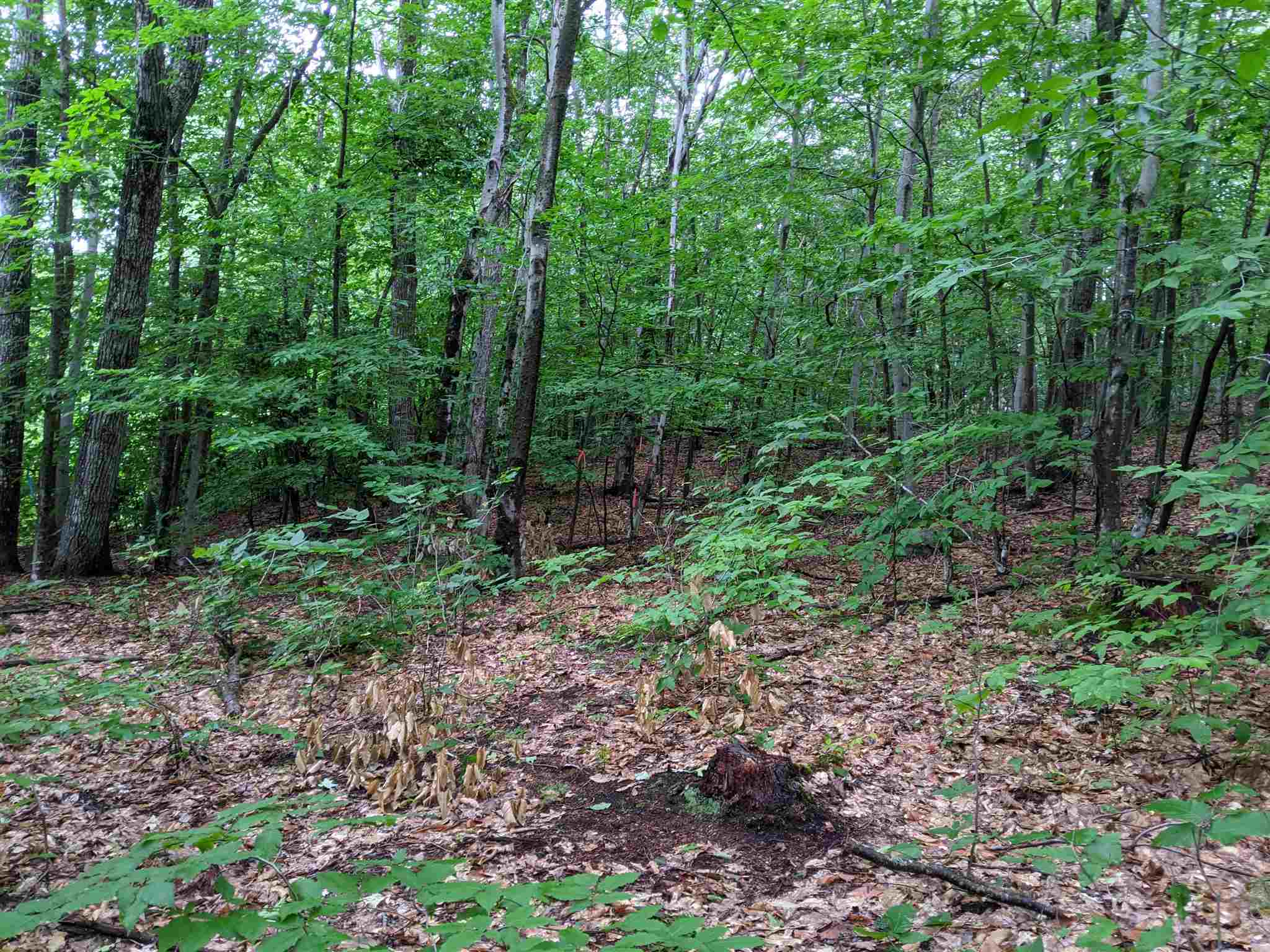 29- Meaderboro Road Alton, NH 03809 - Photo 18 of 21