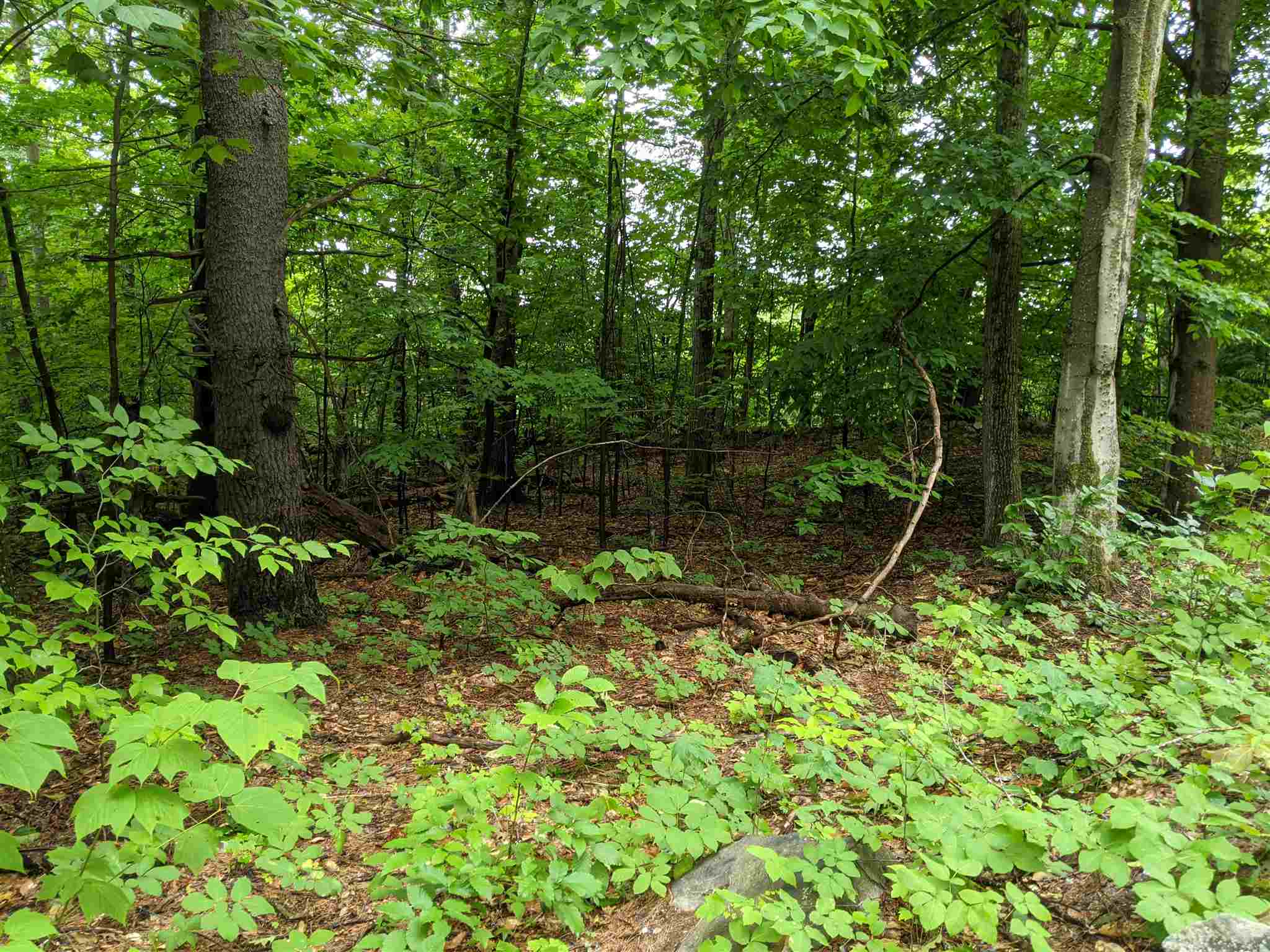 29- Meaderboro Road Alton, NH 03809 - Photo 7 of 21