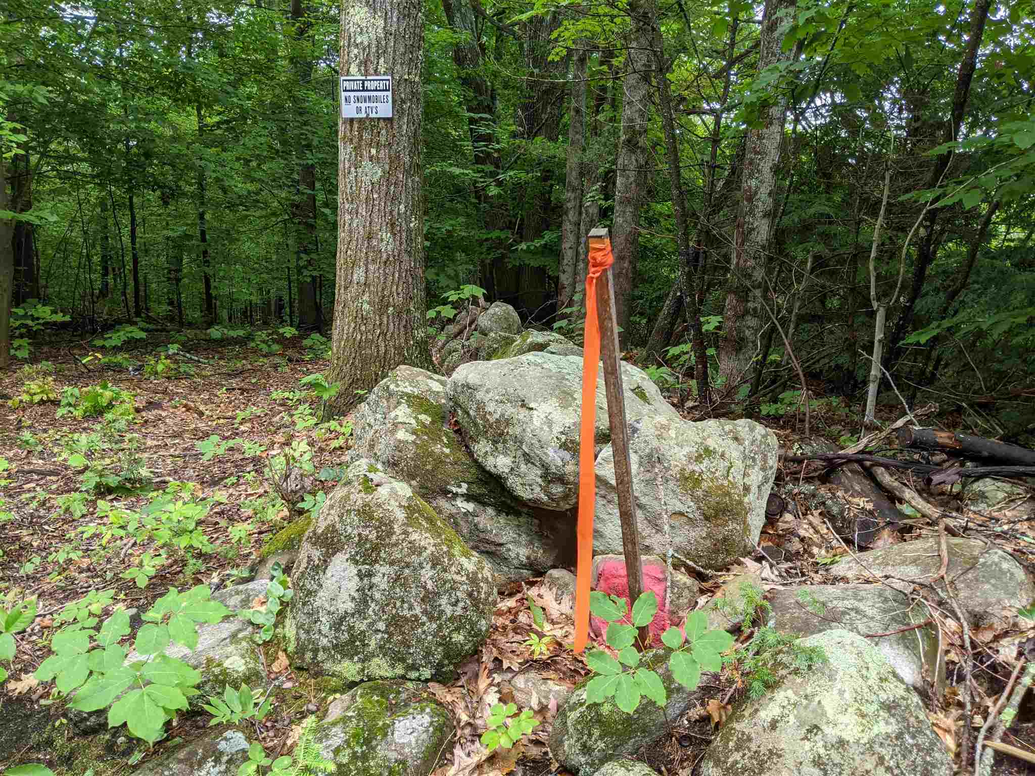 29- Meaderboro Road Alton, NH 03809 - Photo 10 of 21