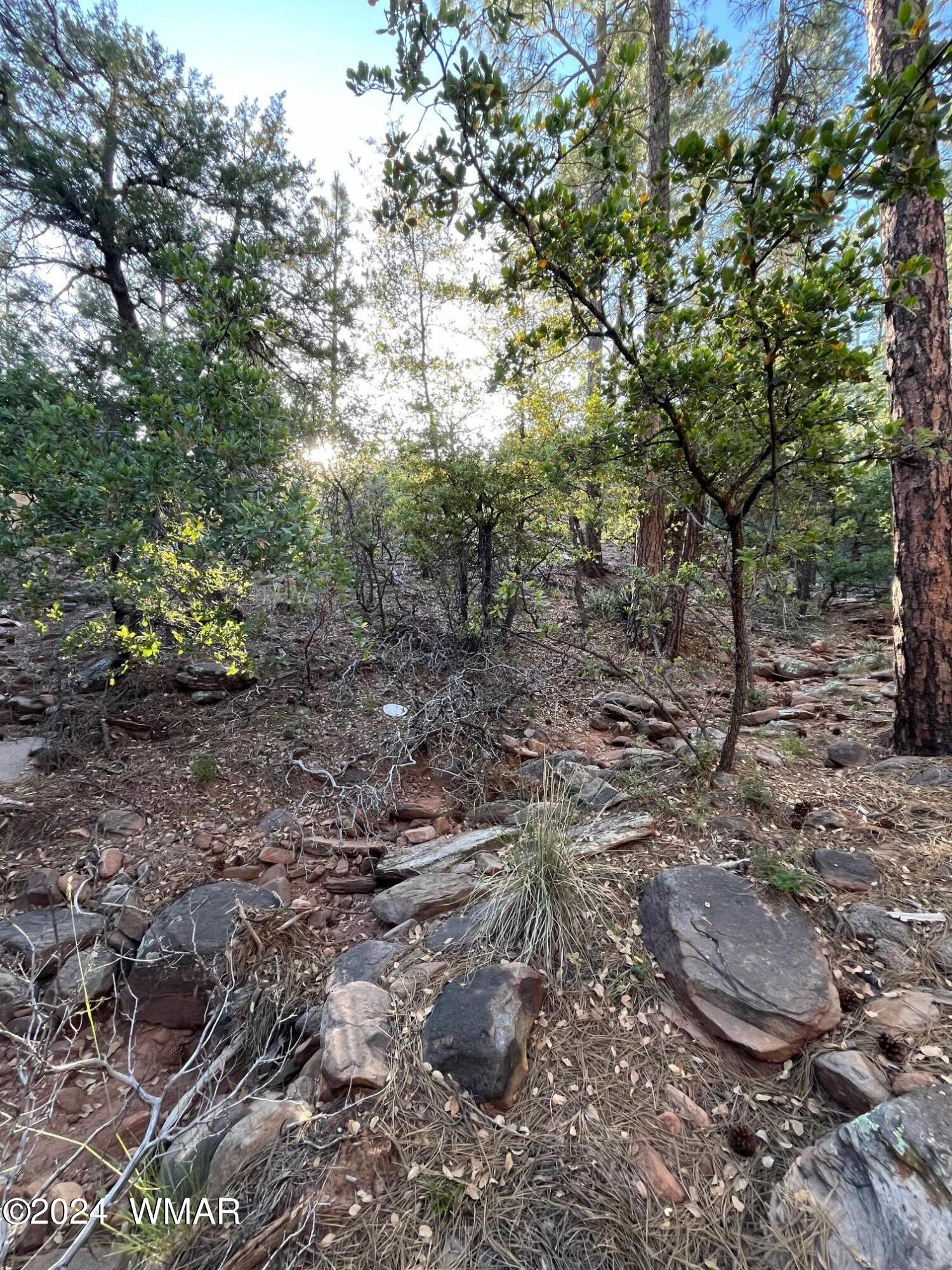 5901 Summit Ridge Drive Pine, AZ 85544 - Photo 23 of 25 IMG_2890