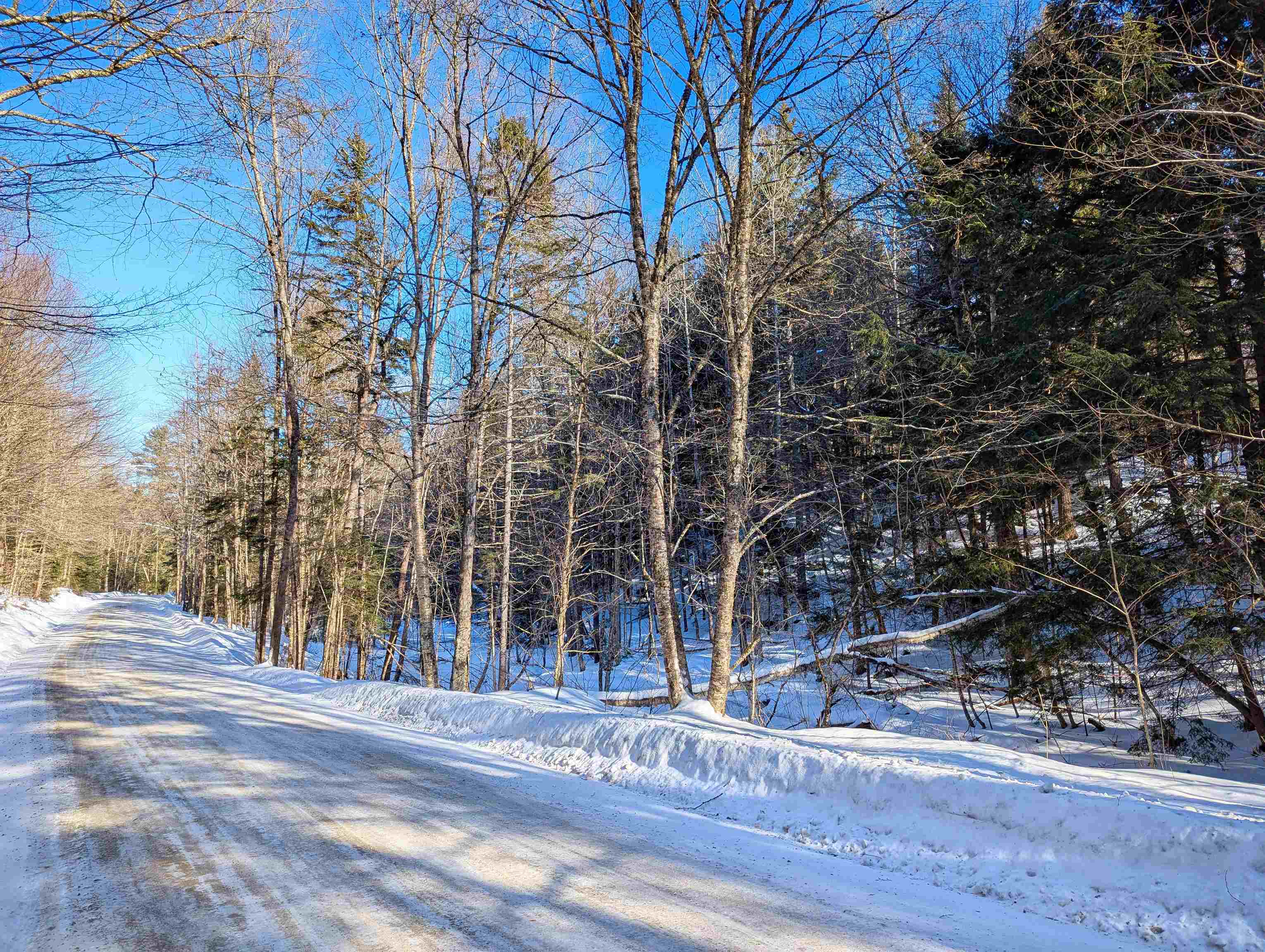 Butz Road Granville, VT 05747 - Photo 4 of 12 Gallery Image 4