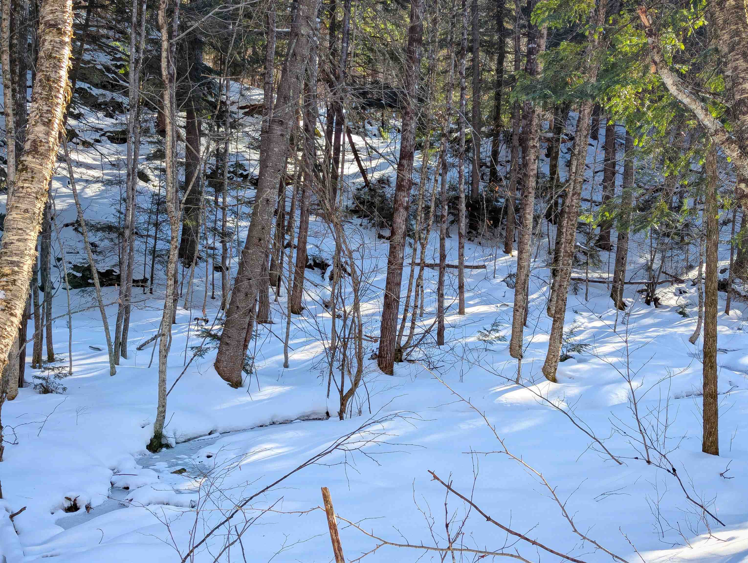 Butz Road Granville, VT 05747 - Photo 5 of 12 Gallery Image 5
