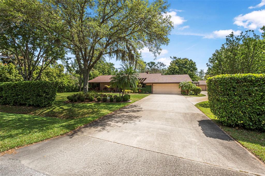 a view of a yard with potted plants and large trees
