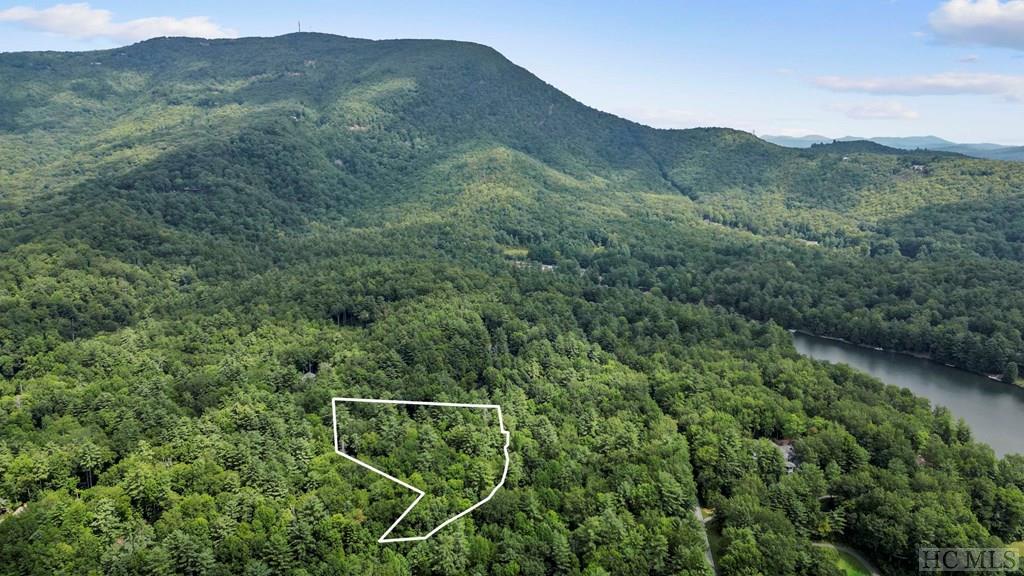 12 Staircase Falls Road Sapphire, NC 28774 - Photo 19 of 20 Gallery Image 19
