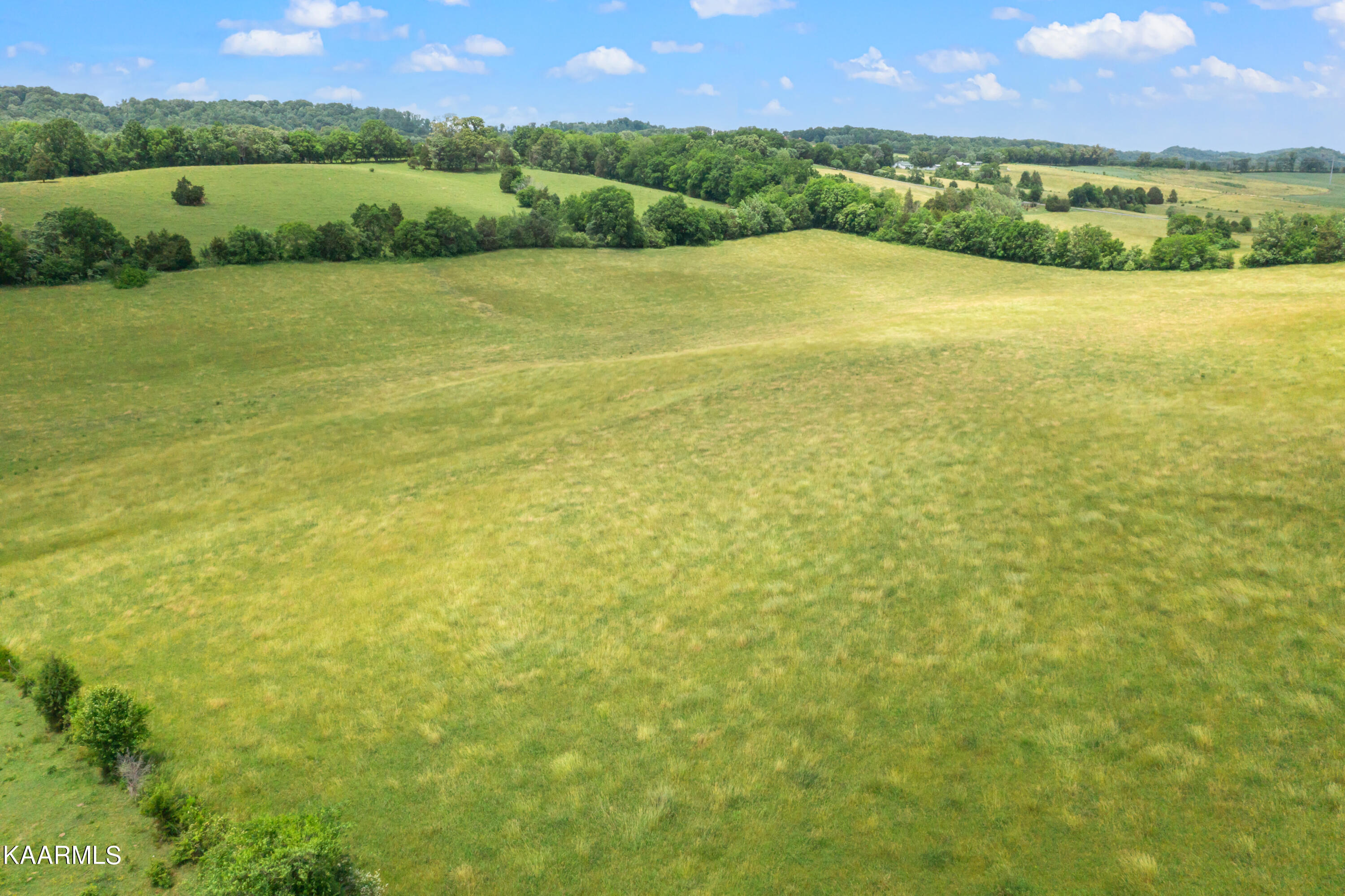 Lot 4 Thompson Road Madisonville, TN 37354 - Photo 4 of 11 Thompson Ln-20