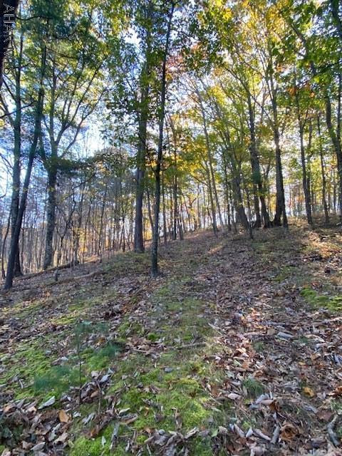 3362 Ragged Mountain Road Clearville, PA 15535 - Photo 16 of 22