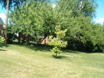 1109 Ridgeland Court Lexington, KY 40515 - Photo 4 of 6 Tree lined yard perfect for the barbecue