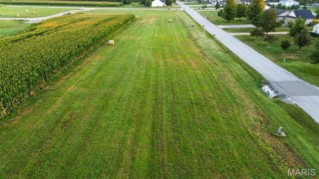 50 Witt Mill Road Jerseyville, IL 62052 - Photo 6 of 11