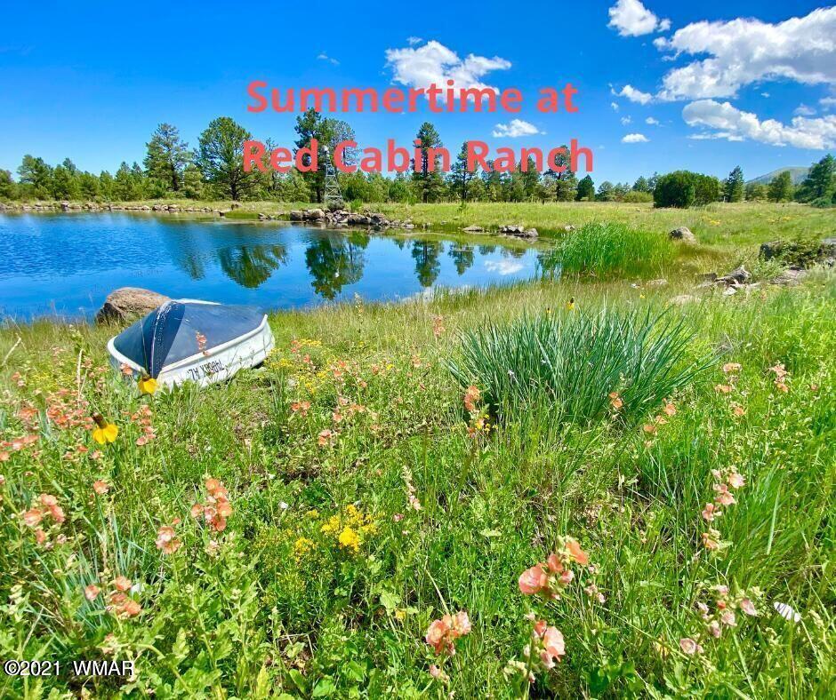 Lot 20 Red Cabin Ranch Vernon, AZ 85940 - Photo 11 of 14