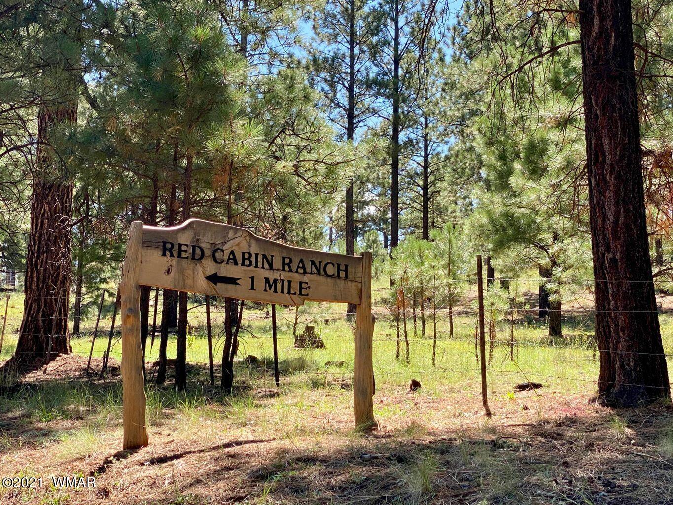 Lot 20 Red Cabin Ranch Vernon, AZ 85940 - Photo 7 of 14