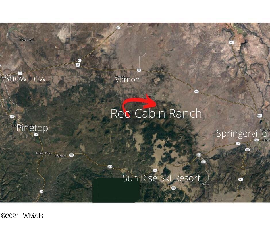 Lot 20 Red Cabin Ranch Vernon, AZ 85940 - Photo 8 of 14