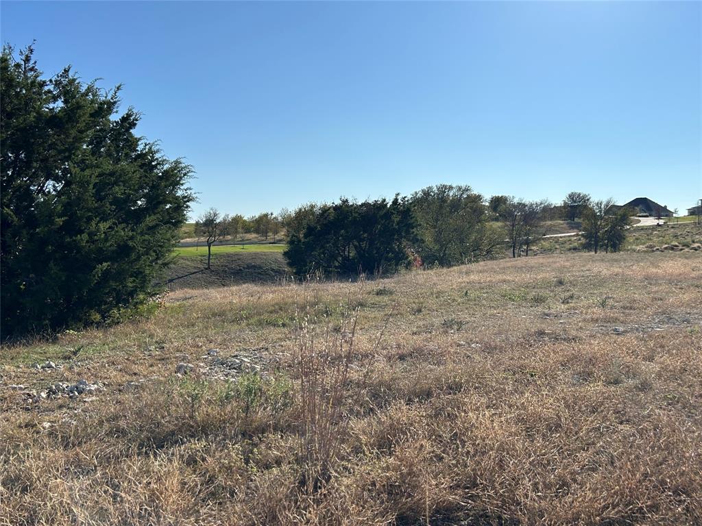 2000 Hidden Bluff Drive Aledo, TX 76008 - Photo 12 of 20 a view of a dry yard with trees in the background