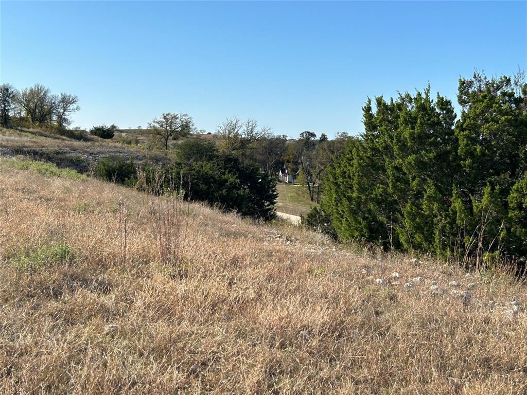 2000 Hidden Bluff Drive Aledo, TX 76008 - Photo 16 of 20 a view of a forest with trees in the background