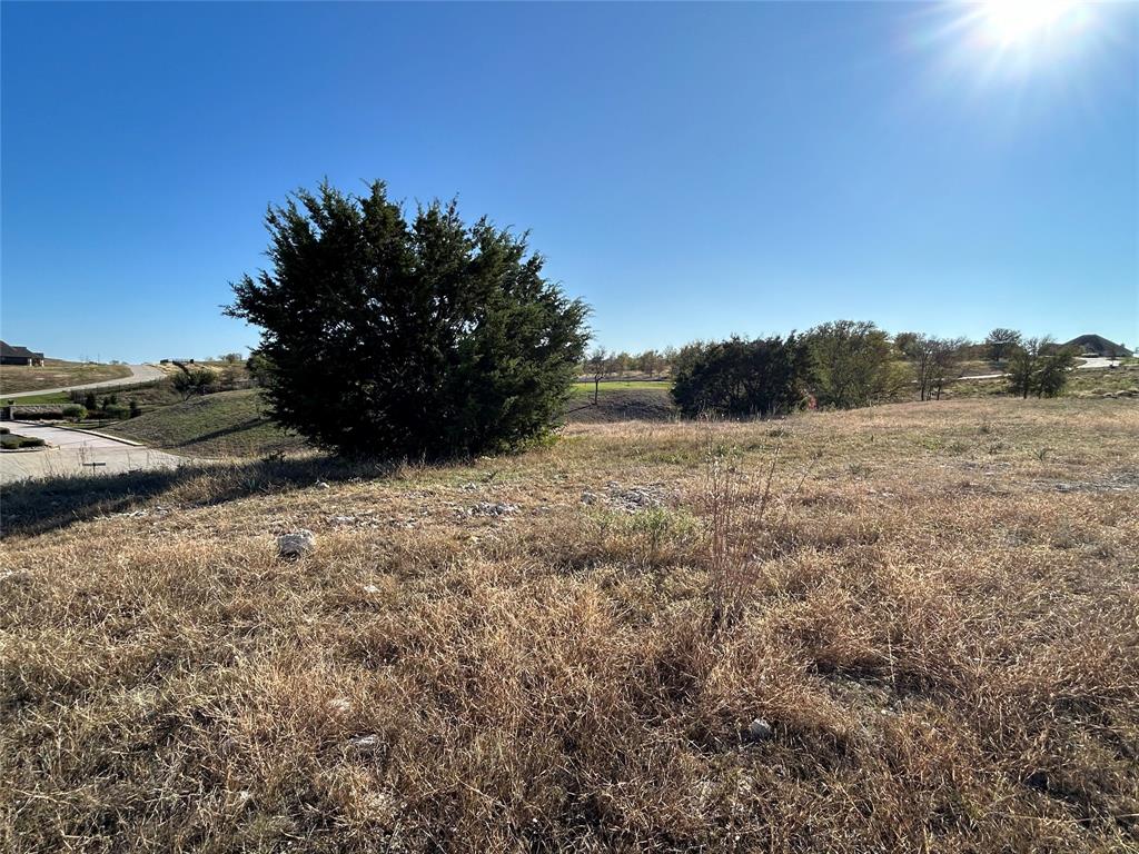 2000 Hidden Bluff Drive Aledo, TX 76008 - Photo 10 of 20 a view of a dry yard with trees in the background