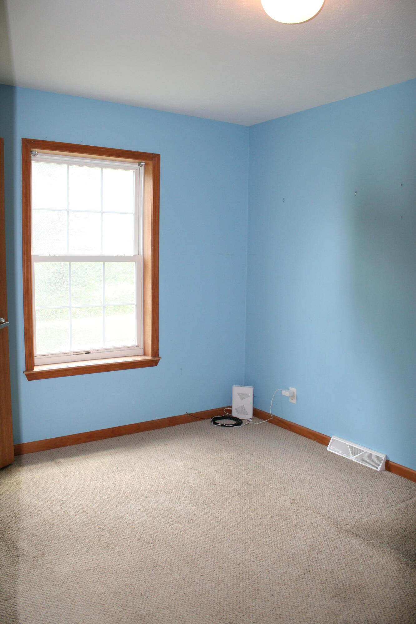 14021 Pardee Road Buchanan, MI 49107 - Photo 51 of 71 IMG_9236