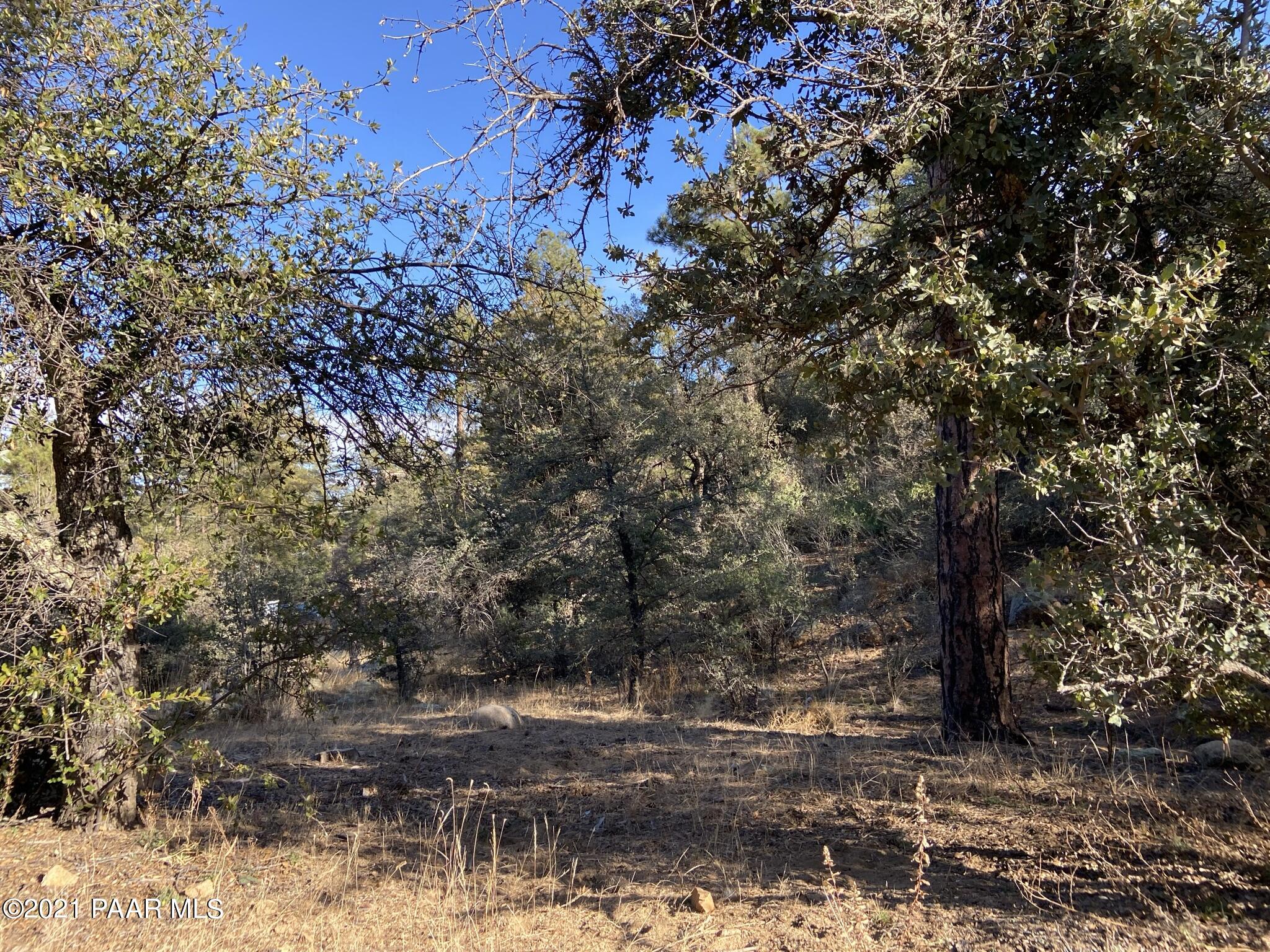 1733 Idylwild Road Prescott, AZ 86305 - Photo 11 of 19 Build in the Shade of Ponderosas