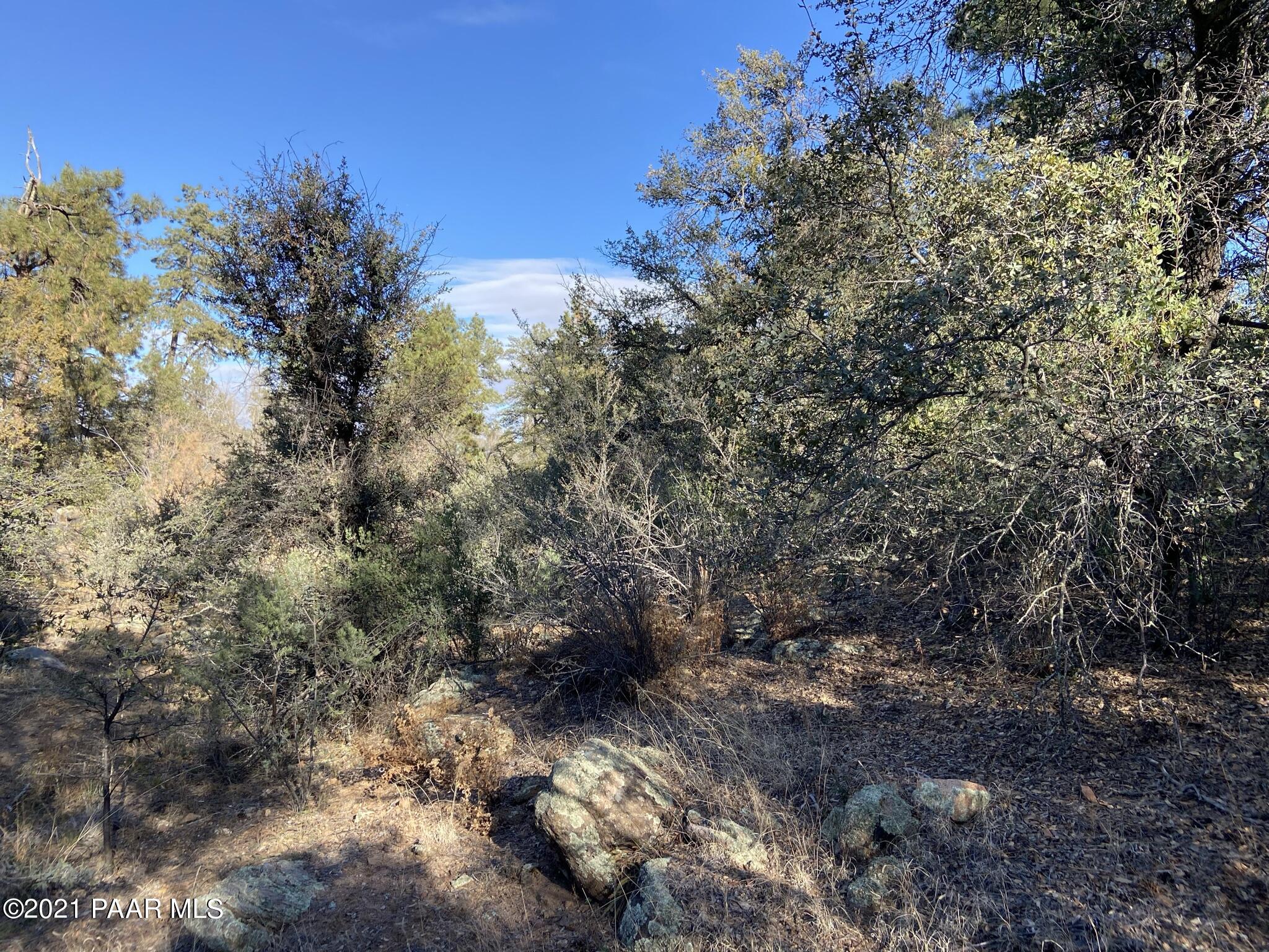 1733 Idylwild Road Prescott, AZ 86305 - Photo 12 of 19 Oak & Ponderosa Wonderland