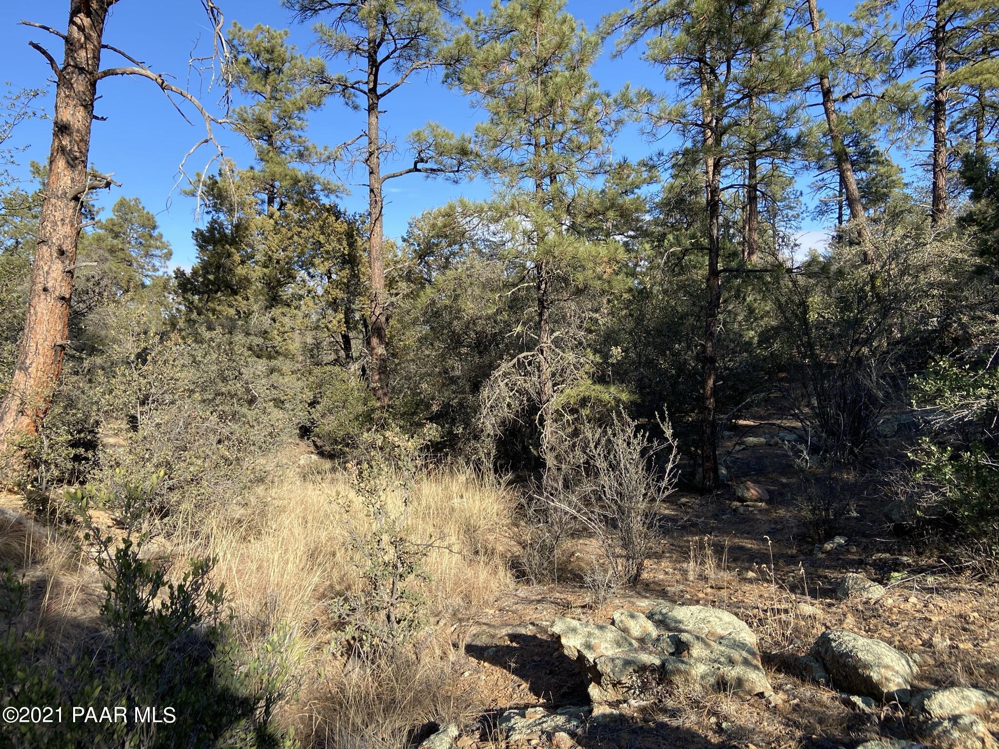 1733 Idylwild Road Prescott, AZ 86305 - Photo 14 of 19 Seasonal Riparian Area