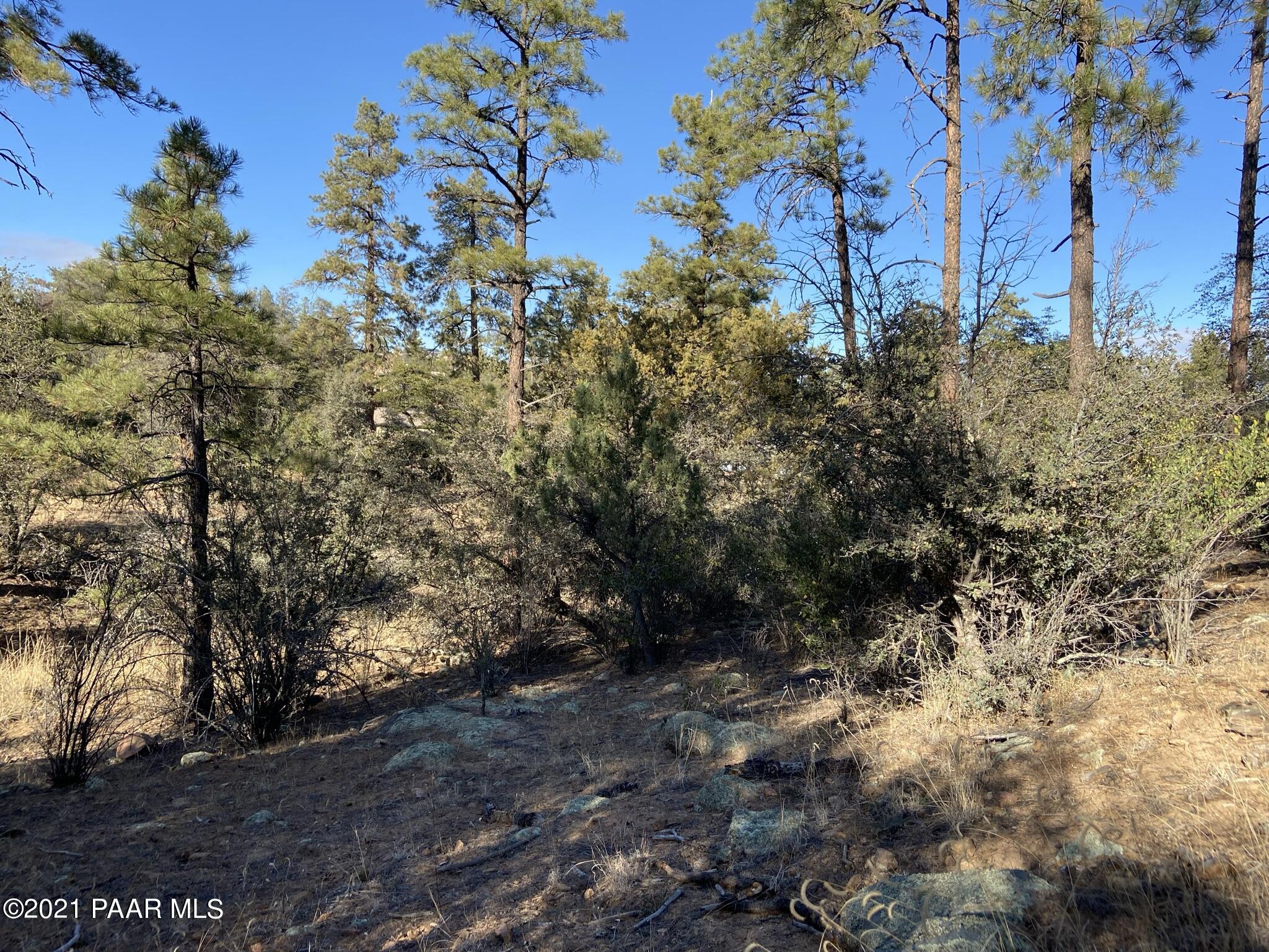 1733 Idylwild Road Prescott, AZ 86305 - Photo 16 of 19 Natural Setting