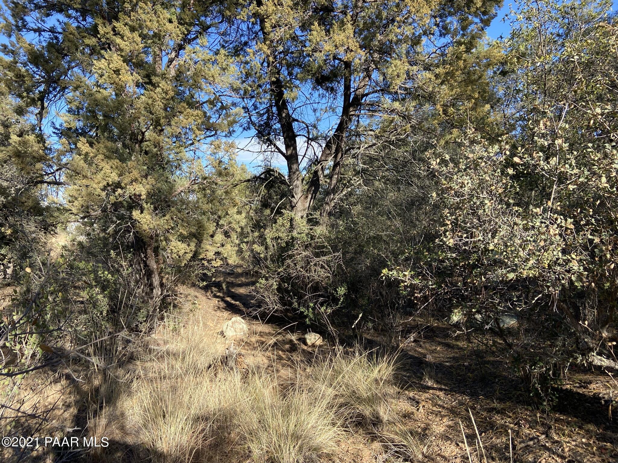 1733 Idylwild Road Prescott, AZ 86305 - Photo 17 of 19 Variety of Native Plants