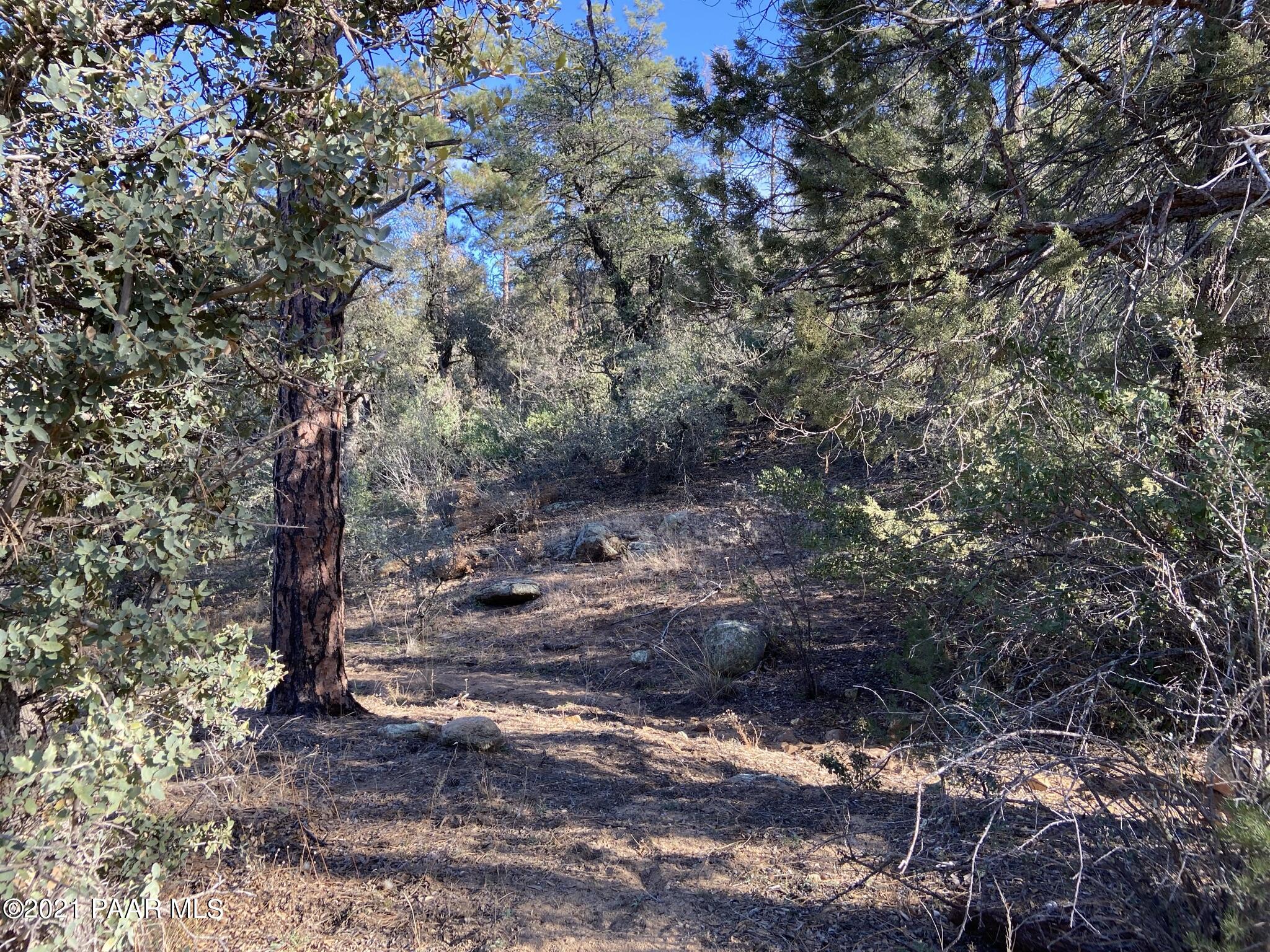 1733 Idylwild Road Prescott, AZ 86305 - Photo 18 of 19 Wildlife Wonderland