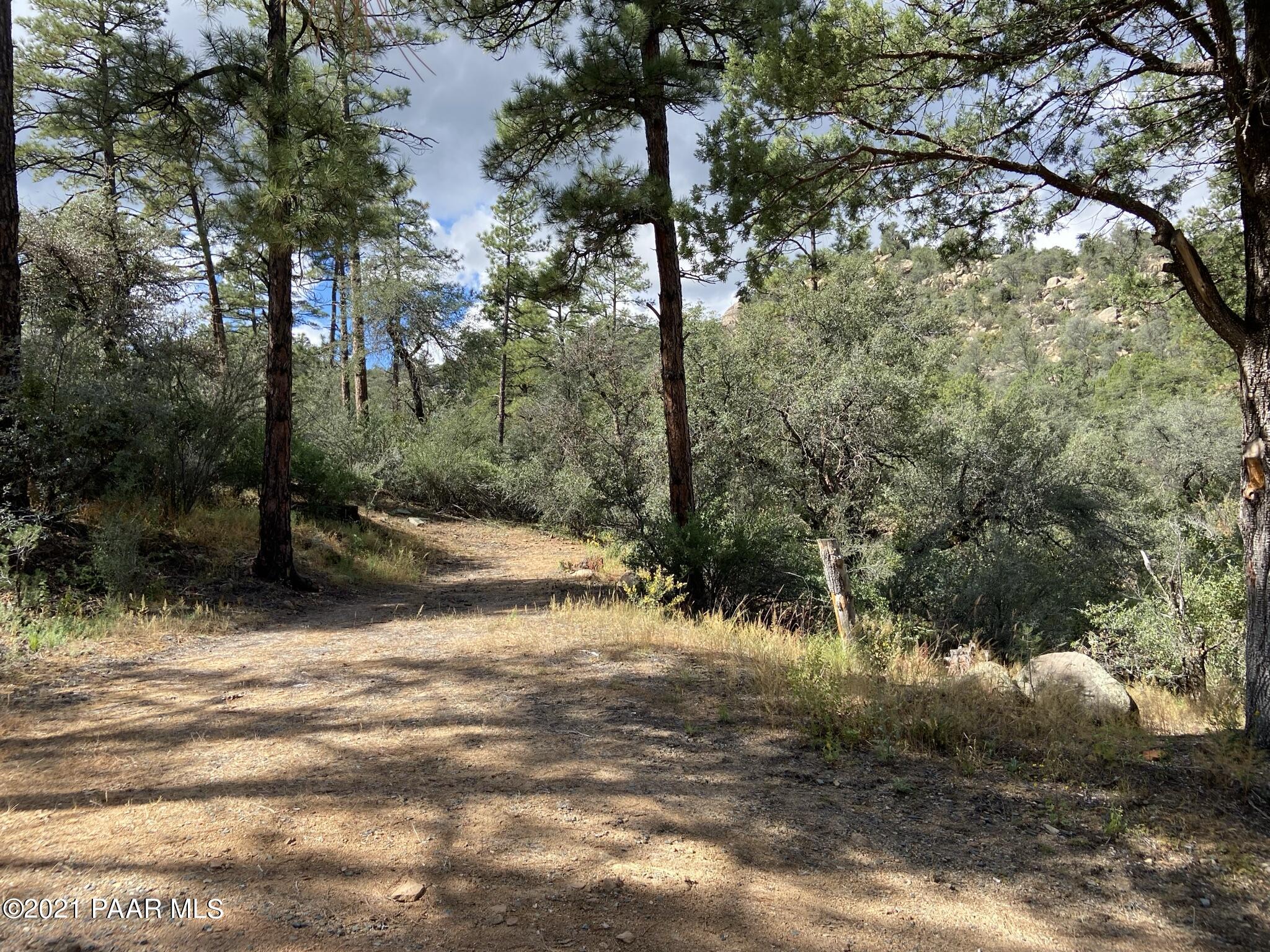 1733 Idylwild Road Prescott, AZ 86305 - Photo 3 of 19 Your Own Forest