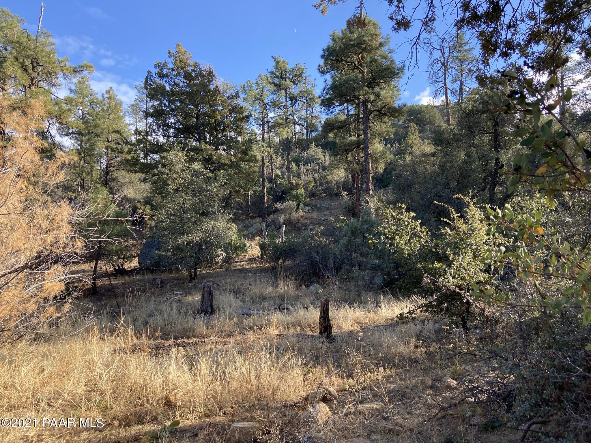 1733 Idylwild Road Prescott, AZ 86305 - Photo 7 of 19 Accessed by Recorded Easements