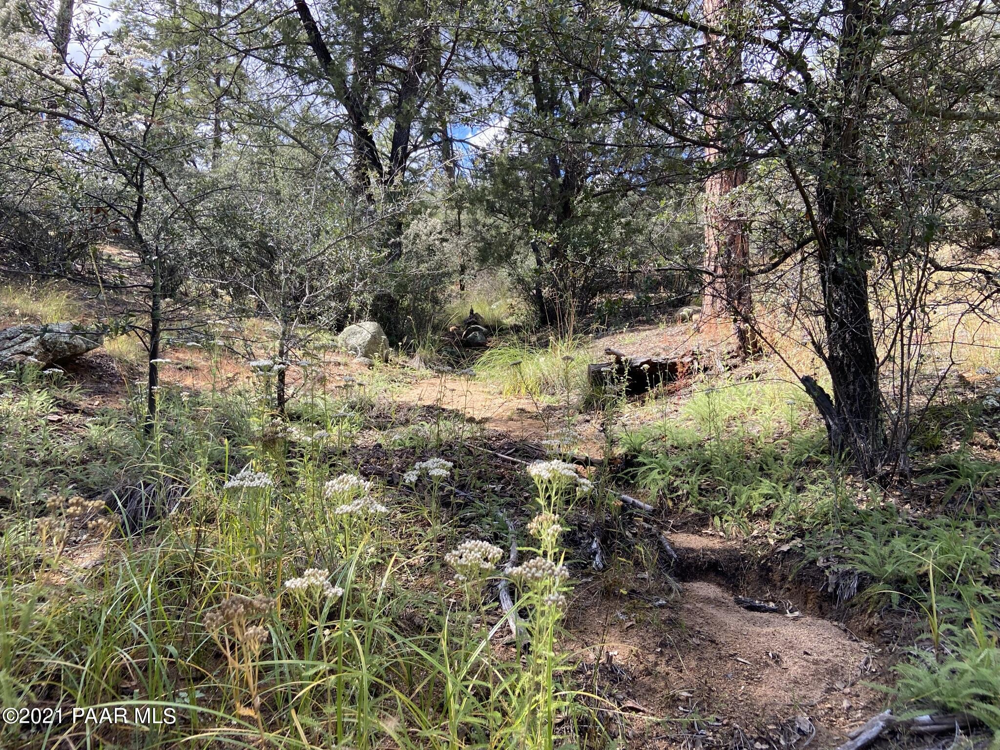 1733 Idylwild Road Prescott, AZ 86305 - Photo 10 of 19 Seasonal Creek