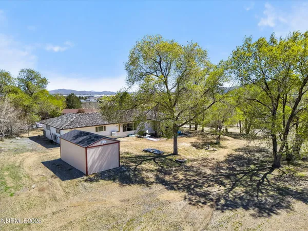 a view of backyard with tree
