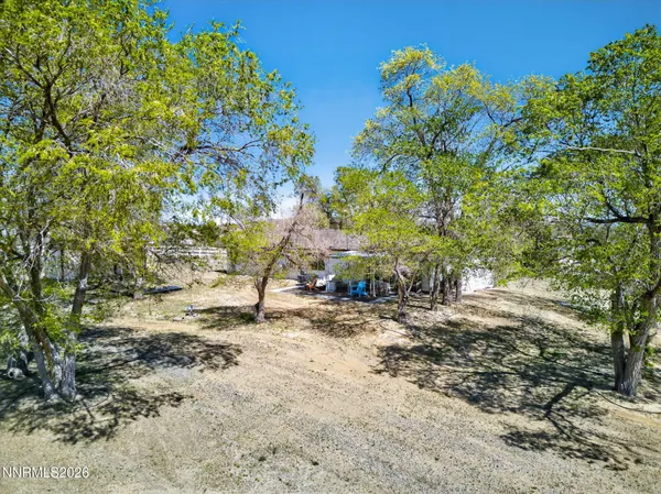 a backyard of a house with large trees and plants