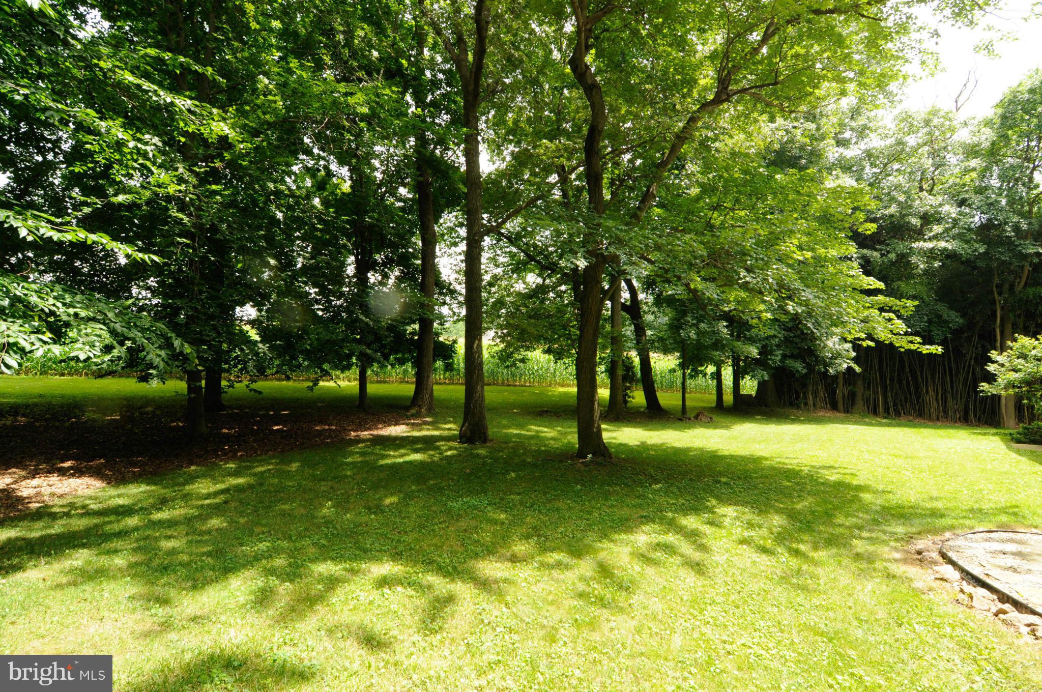 8187 Murphy Road Fulton, MD 20759 - Photo 24 of 25 a view of field with trees in the background