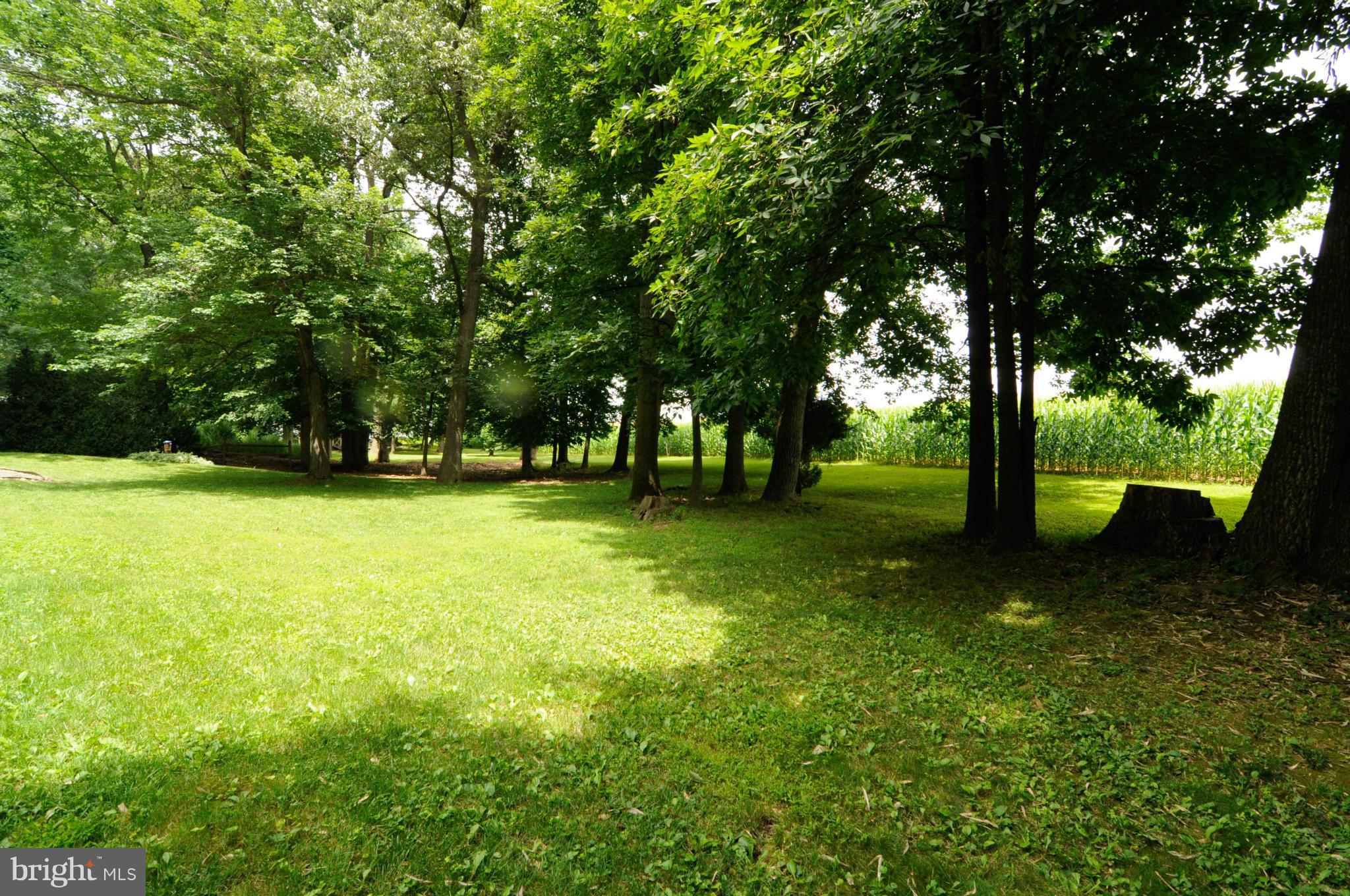 8187 Murphy Road Fulton, MD 20759 - Photo 4 of 25 a view of outdoor space with deck and yard