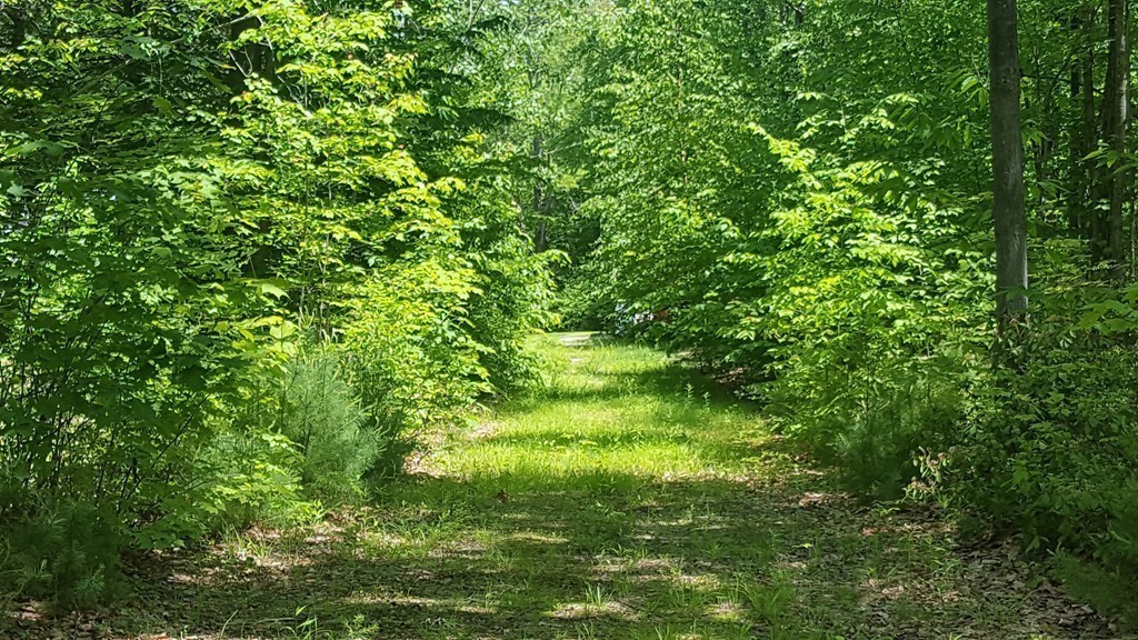 0 Bailey Road Townsend, MA 01474 - Photo 1 of 13 Gallery Image 1