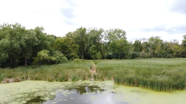 $65,000 | Xxx 365th Street, Watkins, MN 55389