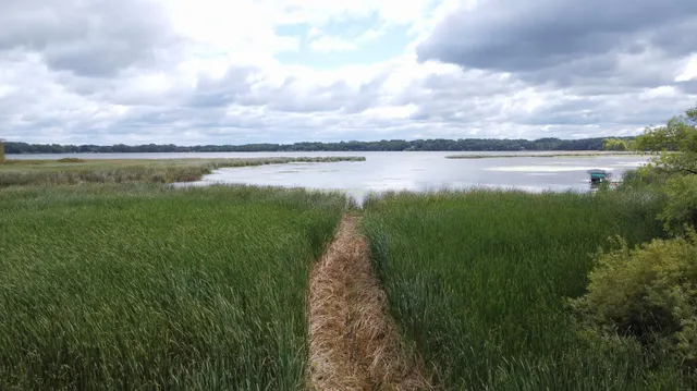 $65,000 | Xxx 365th Street, Watkins, MN 55389