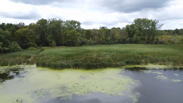 $65,000 | Xxx 365th Street, Watkins, MN 55389