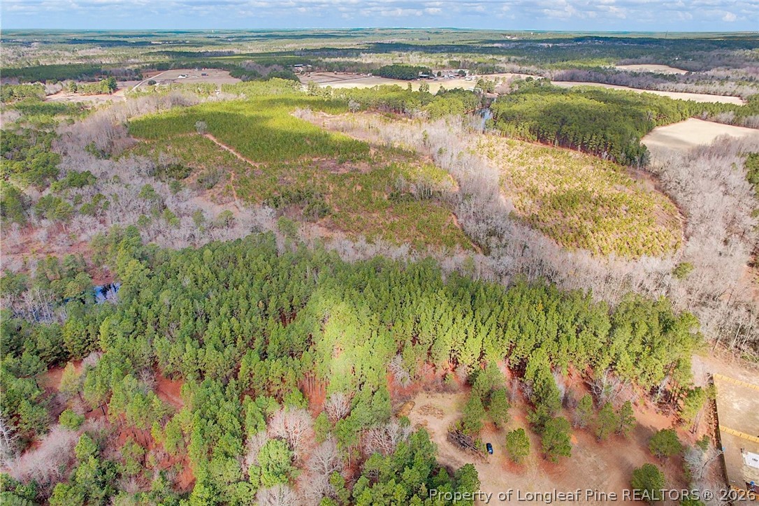 Tbd Tbd Montrose (lot 8) Road Raeford, NC 28376 - Photo 4 of 9