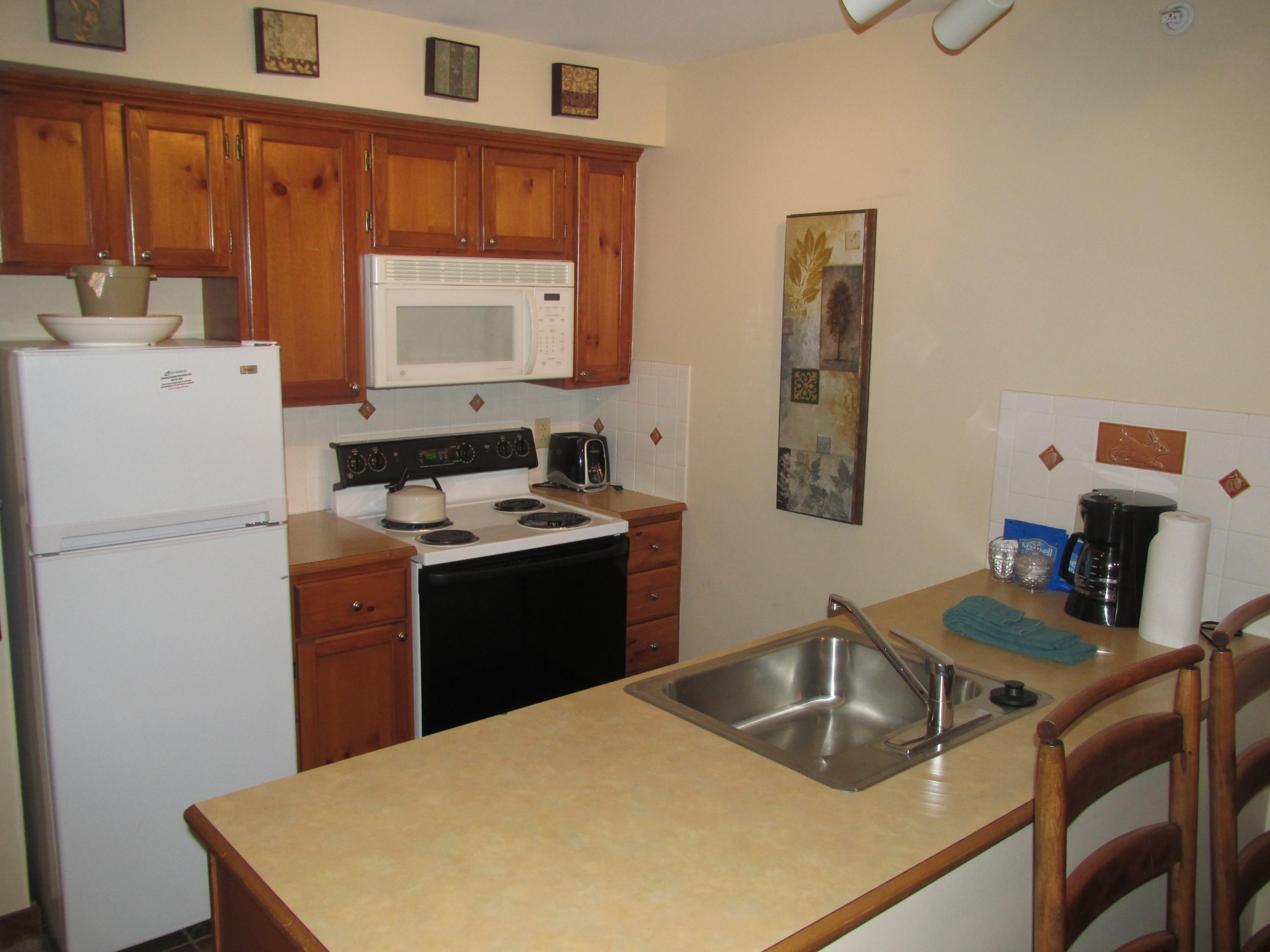 459 Rimfire Snowshoe, WV 26209 - Photo 1 of 15 Gallery Image 1